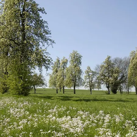 Ferienhaus Vakantiewoningen-pizzeria Blanckthys